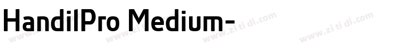 HandilPro Medium字体转换 HandilPro Medium字体转换